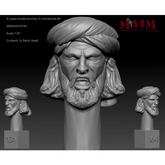 1/35 Iraqi/Taliban/Afghan Character Head Set D #0164 (1pcs)