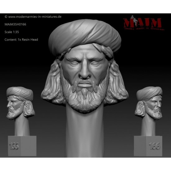 1/35 Iraqi/Taliban/Afghan Character Head Set F #0166 (1pcs)