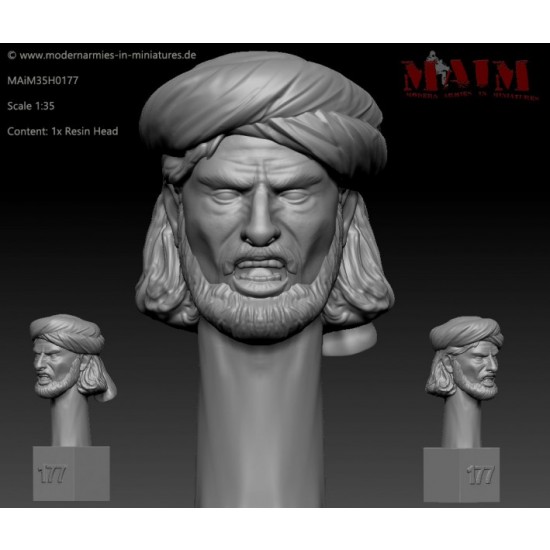 1/35 Iraqi/Taliban/Afghan Character Head Set Q #0177 (1pcs)