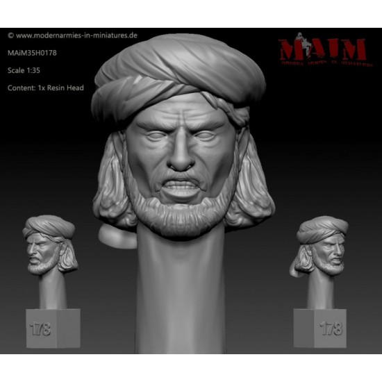 1/35 Iraqi/Taliban/Afghan Character Head Set R #0178 (1pcs)