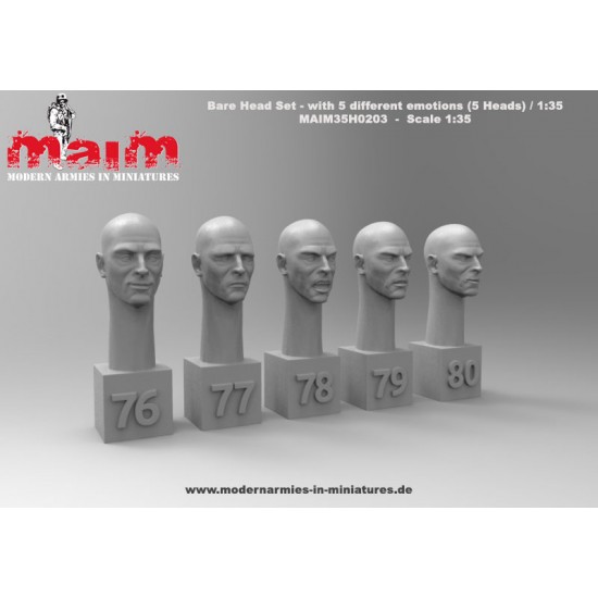 1/35 Bare Head Set with 5 Different Face Emotions (5 Heads, resin)