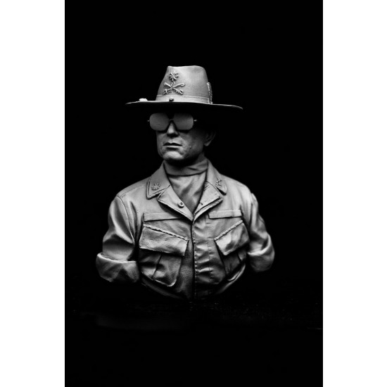V-bust Officer, 7th Cavalry, Vietnam
