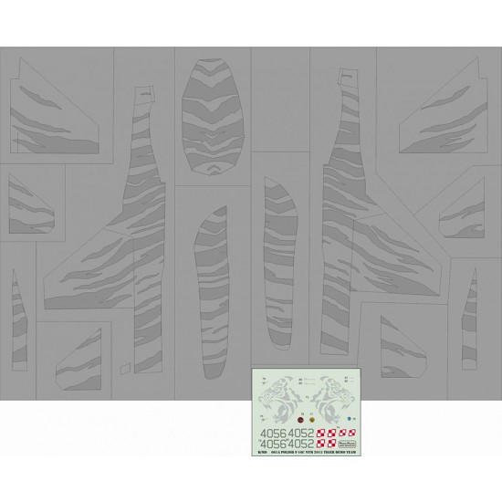 1/72 Polish F-16C Nato Tiger Meet 2015 - Demo Team Masks and Decals Set