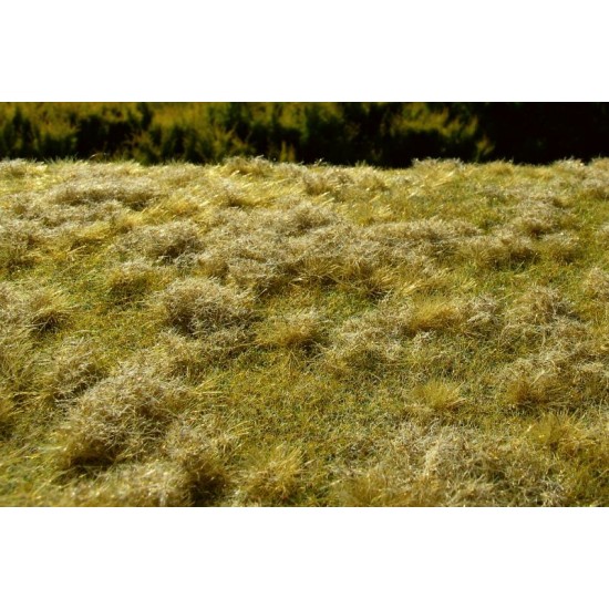 Fallow Field Grass Mat - Late Summer Mini Pack (Size: 13 x 17 cm)