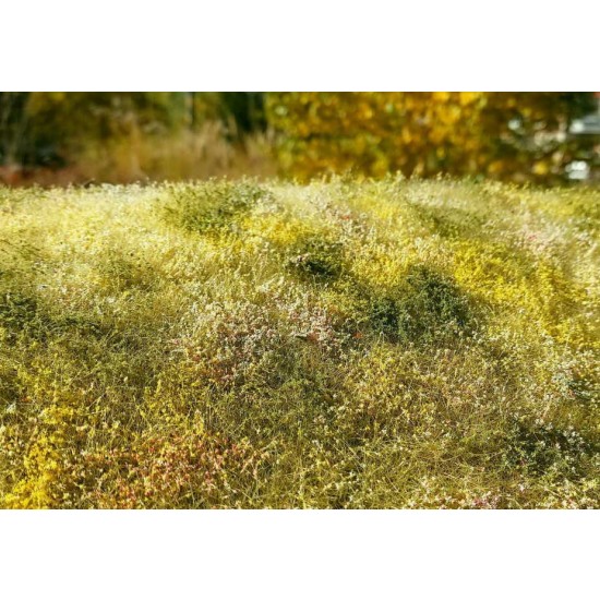 Grass Mats Premium Blooming Meadow - Late Summer (18x28cm)