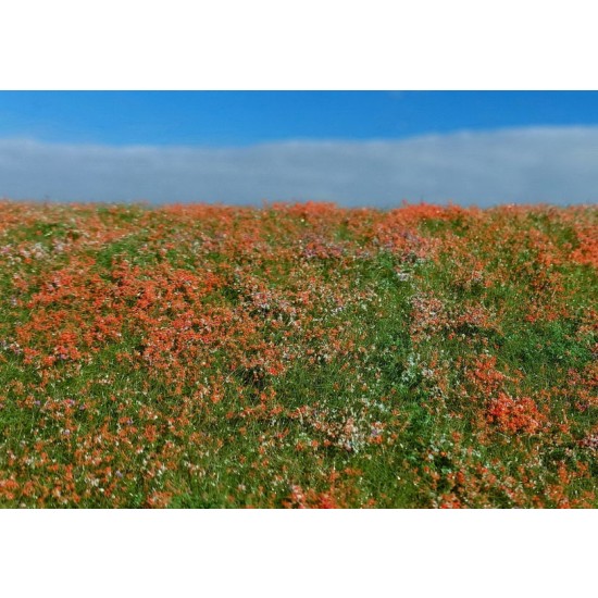 Grass Mats Premium Blooming Meadow - Poppies (18x28cm)