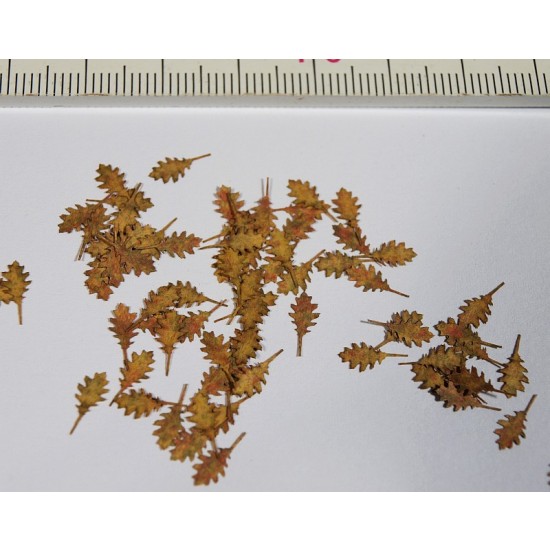 1/32, 1/35 Northern Red Oak Leaves - Dry (Leaser Cut)