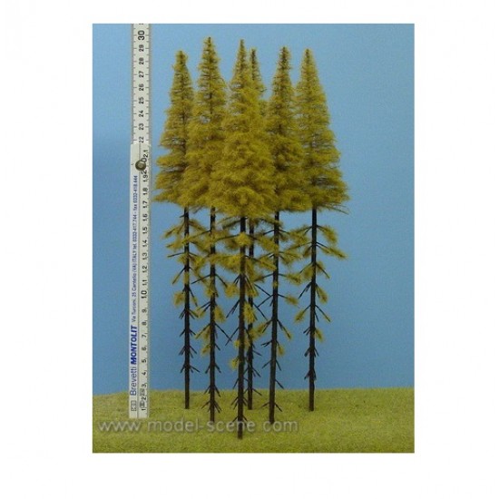 Larches with Trunk - Autumn 280-320mm (5pcs)