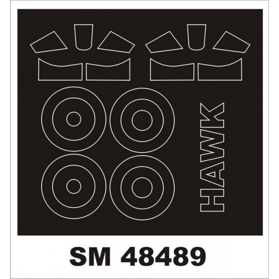 1/48 Curtiss Hawk III Paint Masks for Freedom Model Kit (Outside & Inside)