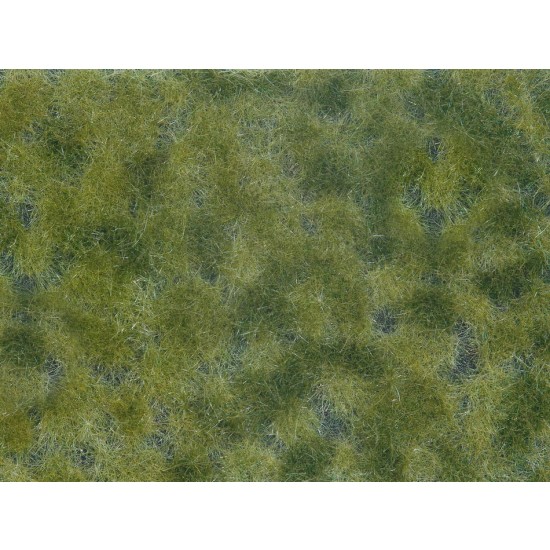 Groundcover Foliage Medium Green (12 x 18 cm)