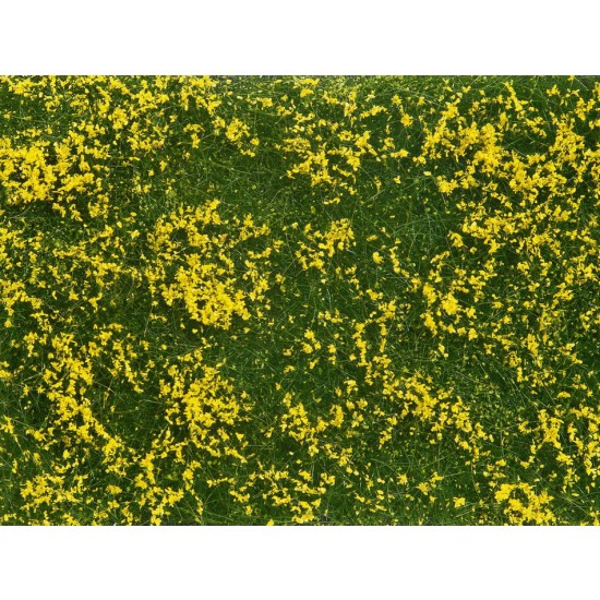 Groundcover Foliage Meadow Yellow (12 x 18 cm)