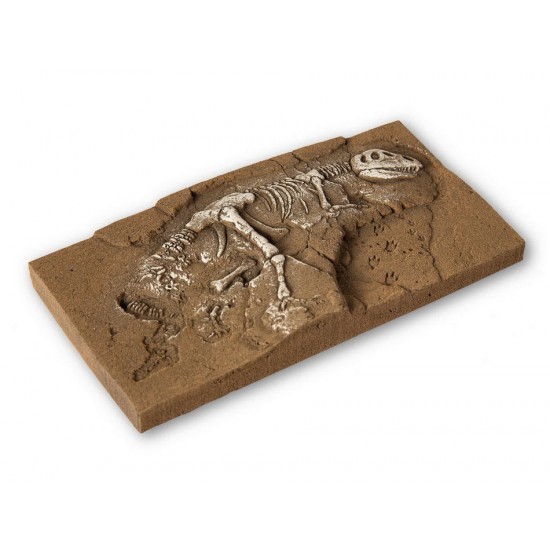 HO/TT/N Scale T-Rex Dinosaur Excavation (13.5 x 6.8 x 1.6 cm)