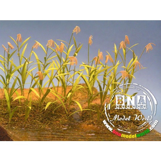 1/35 Reed Canary Grass - Paper Plant kit