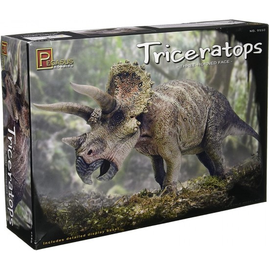1/24 Triceratops 3 Horned Face Dinosaur
