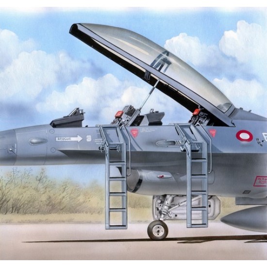 1/48 Ladders for General-Dynamics F-16B/F-16D Fighting Falcon (Plastic Injected kit)