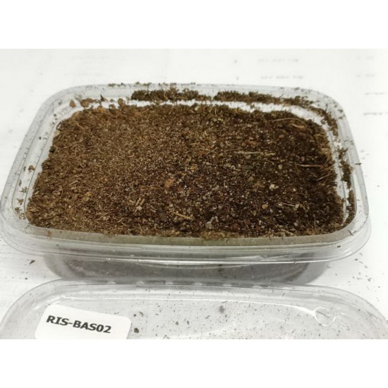 Ground Base Scatter for Groundwork- Medium Brown (155ml)