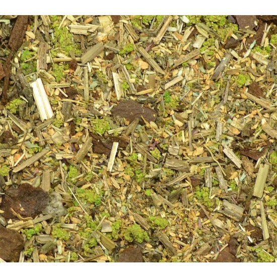 Ground Detailed Scatter for Groundwork- Wild Pasture (80ml)