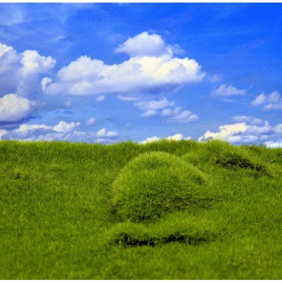 Landscape Mat - Plain Grass and Hills (Size: approx. 20 x 30cm, thick: 1cm)