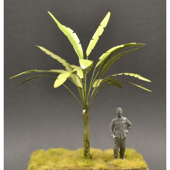 1/35, 1/48 Handmade Banana Tree with Faded Green and Yellowish-Brown Leaves (Height: 15cm)