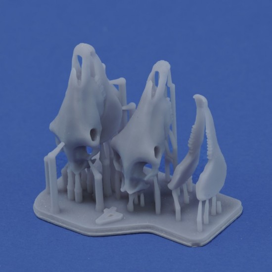 1/35 Horse Skulls