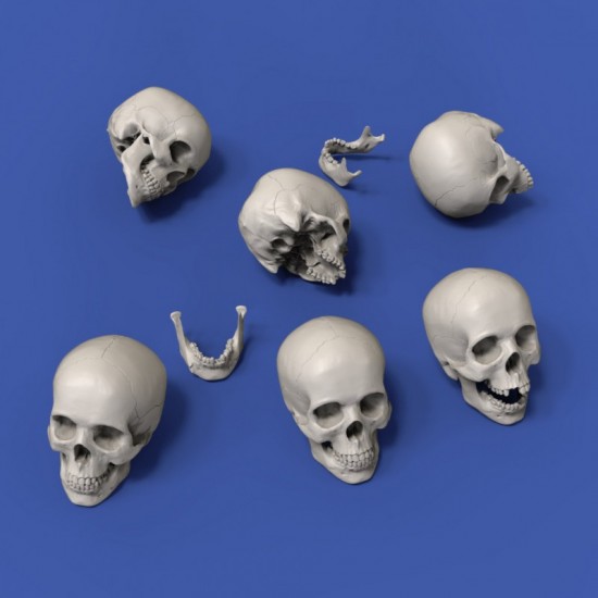 75mm Scale Skulls (6pcs)