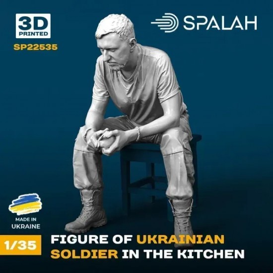 1/35 Ukrainian Soldier in the Kitchen 