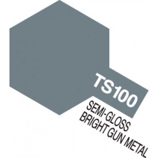 Lacquer Spray Paint TS-100 Bright Gun Metal (100ml)