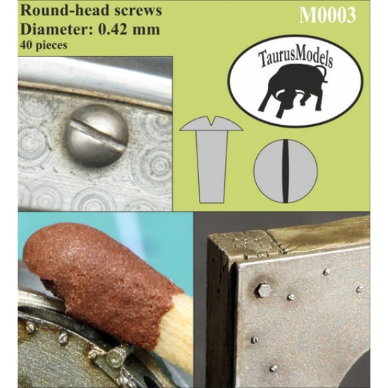 Round-Head Screws (40pcs, Diameter: 0.42mm)