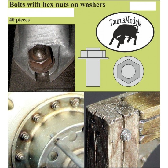 Bolts with Hex Nuts on Washers (Diameter: 0.3mm, 40pcs)