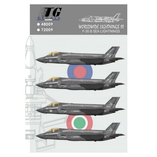 Decals for 1/48 Worldwide Lightnings III (F-35B Sea Lightnings)