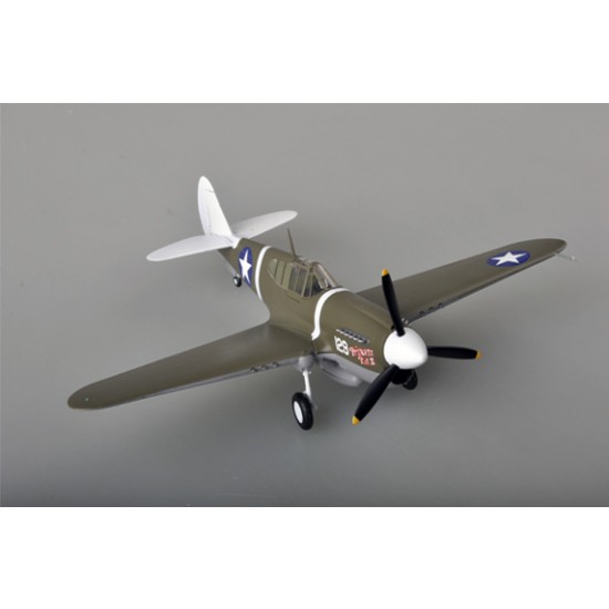 1/48 P-40M 44FS,18FG Assembled and Painted Plastic Kit