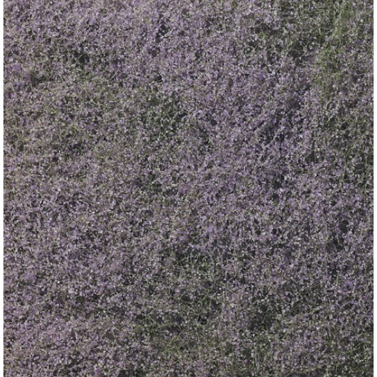 Ground Cover - Flowering Foliage #Purple (coverage area = 72 in2 / 464 cm2)