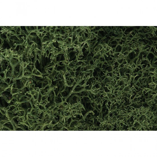 Ground Cover - Lichen #Medium Green (coverage area = 86.6 in3 / 1410cm3)