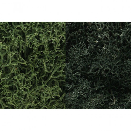 Ground Cover - Lichen #Dark Green Mix (coverage area = 86.6 in3 / 2830cm3)
