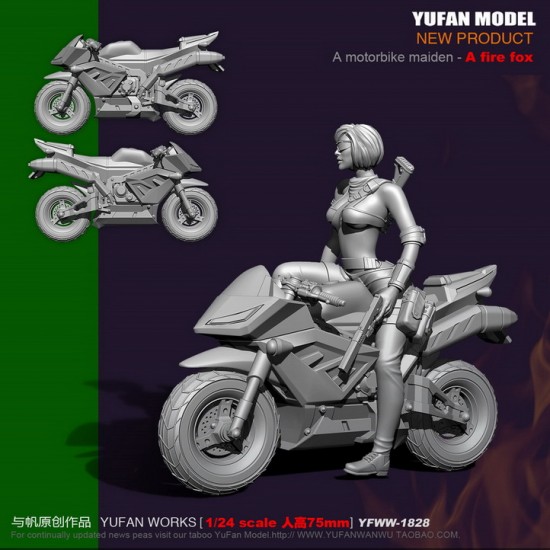 1/24 Motorbike Maiden - A Fire Fox