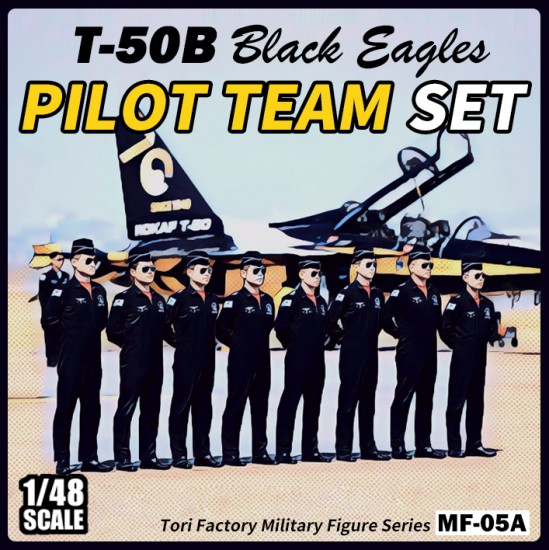 1/48 ROK Black Eagles Pilots set (8 Figures)