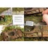 Abandoned Little Treasures (English, 136 pages) Abandoned Little Treasures (English, 136 pages)