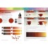 How to Work with Colours and Transitions (English, 88 pages) How to Work with Colours and Transitions (English, 88 pages)