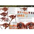 AK Learning Vol.14 Painting Animal Figures (English, 88 pages, Soft cover) AK Learning Vol.14 Painting Animal Figures (English, 88 pages, Soft cover)