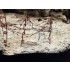 Diorama Series Acrylic Terrains - Dry Ground (250ml) Diorama Series Acrylic Terrains - Dry Ground (250ml)