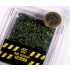 1/35 1/32 75mm 90mm Scale Oak Summer Leaves (7gr) 1/35 1/32 75mm 90mm Scale Oak Summer Leaves (7gr)