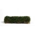 1/35 75mm 90mm Scale Summer Dark Green Shrubberies (bush) 1/35 75mm 90mm Scale Summer Dark Green Shrubberies (bush)