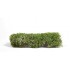 1/35 75mm 90mm Scale Blomming White Shrubberies (bush) 1/35 75mm 90mm Scale Blomming White Shrubberies (bush)