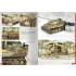 Tigers - Modelling the Ryefield Family (English, 220 pages) Tigers - Modelling the Ryefield Family (English, 220 pages)