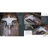 Aircraft in Detail: BAE Systems Harrier II & Boeing AV-8B Harrier II (English) Aircraft in Detail: BAE Systems Harrier II & Boeing AV-8B Harrier II (English)
