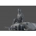 1/35 Crusander Mk.II - British Cruiser Tank Mk.VI & German Pzkpfw.Mk V746(E) 1/35 Crusander Mk.II - British Cruiser Tank Mk.VI & German Pzkpfw.Mk V746(E)