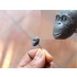 1/20, 90mm Scale Orangutan / Ape 1/20, 90mm Scale Orangutan / Ape
