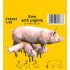 1/48 Sow with Piglets 1/48 Sow with Piglets
