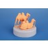 1/72 Bactrian Camel (2pcs) 1/72 Bactrian Camel (2pcs)