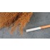 Teloxys Aristata (box: 30 x 5 x 5cm) for Making Tree Leaves Teloxys Aristata (box: 30 x 5 x 5cm) for Making Tree Leaves